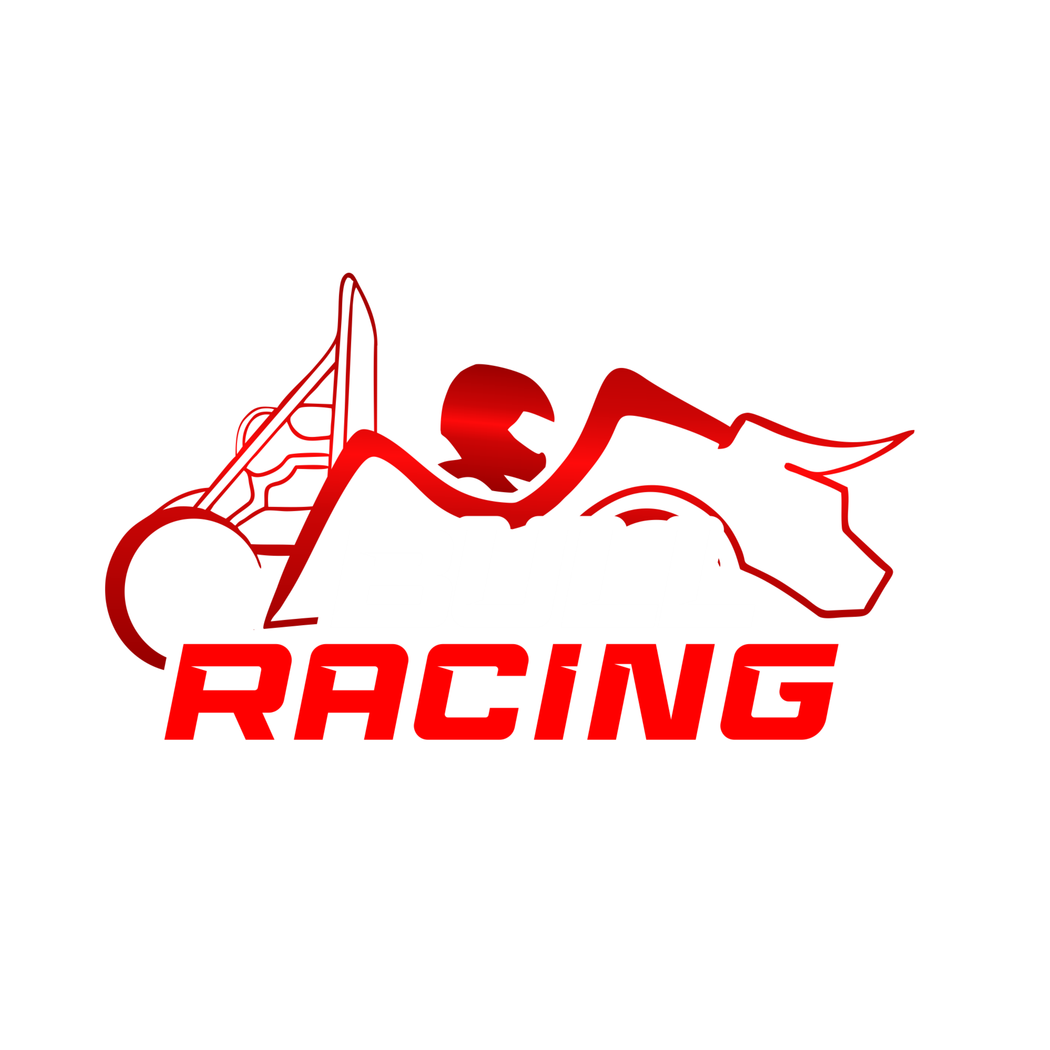 BULL RACING Logo